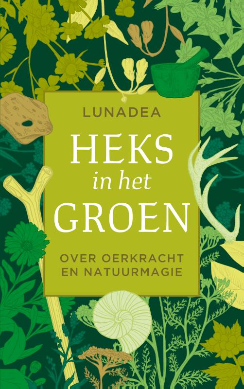 De cover van het boek Heks in het Groen van Lunadea
