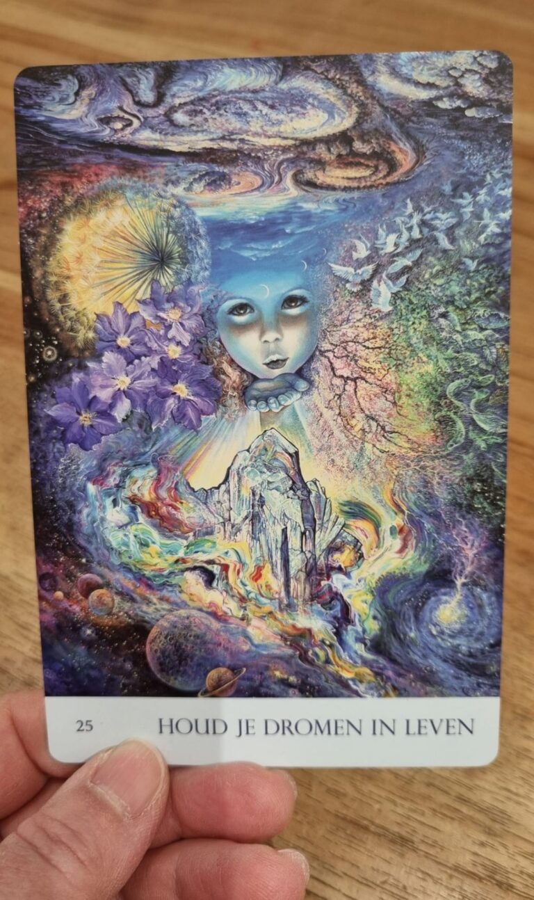 Orakelkaart met de tekst houd je dromen in leven